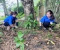CHI ĐOÀN TRƯỜNG MẦM NON BẰNG HÀNH THAM GIA LAO ĐỘNG TẠI KHU DI TÍCH CÁCH MẠNG TRỌNG CON – HƯỚNG VỀ NGÀY 27/7 